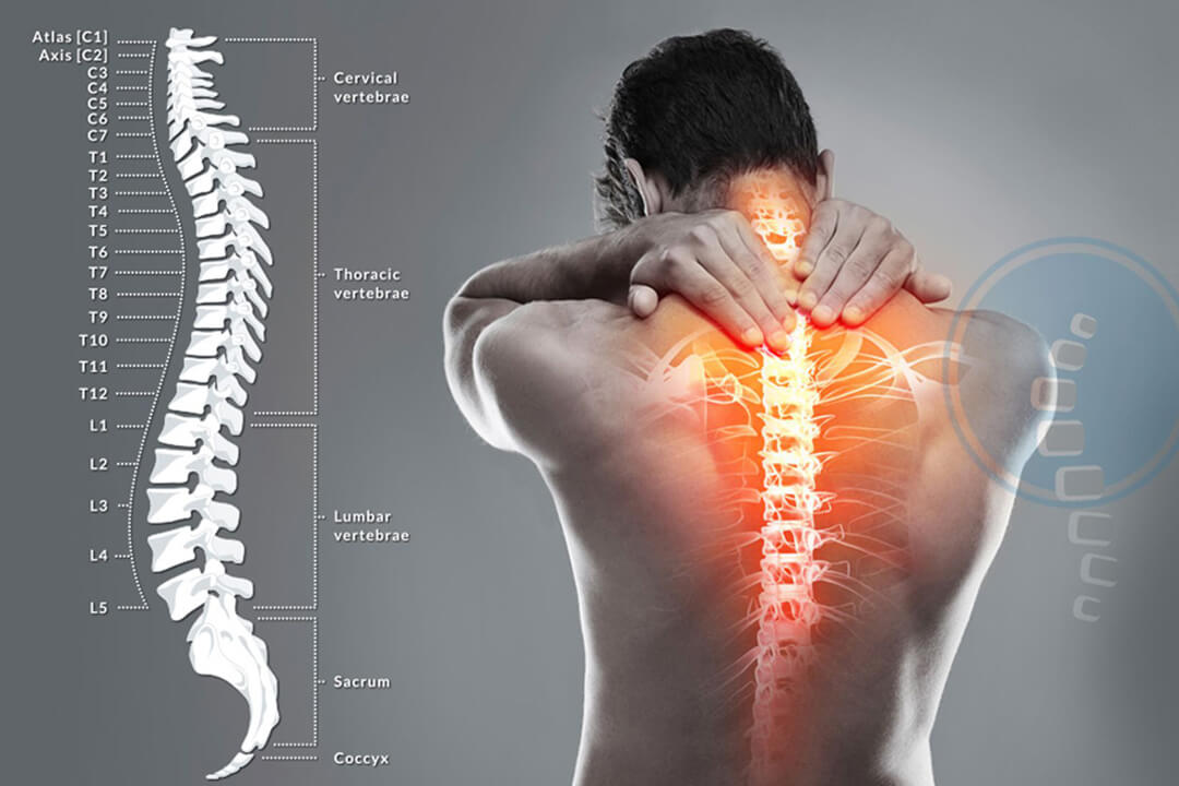 Orthopedics & Spine